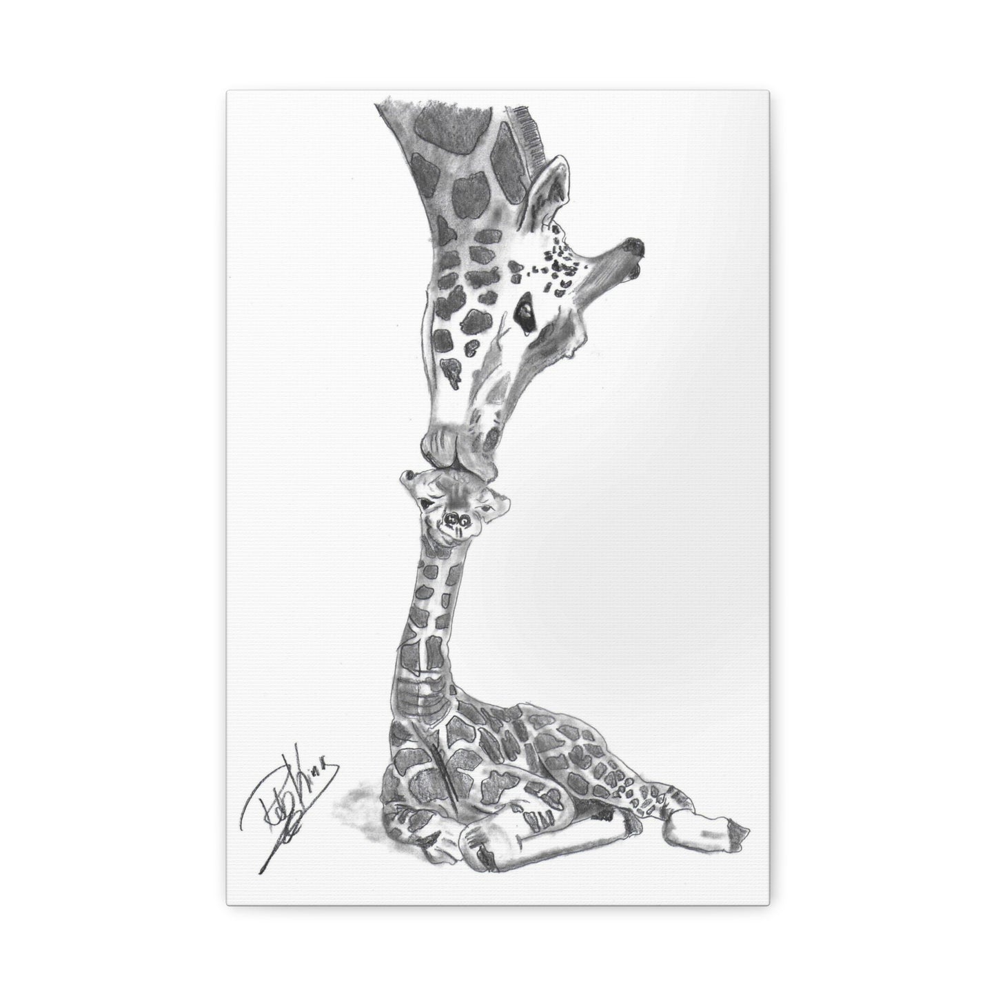 Giraffe Mother Child Kiss - Canvas Gallery Wraps