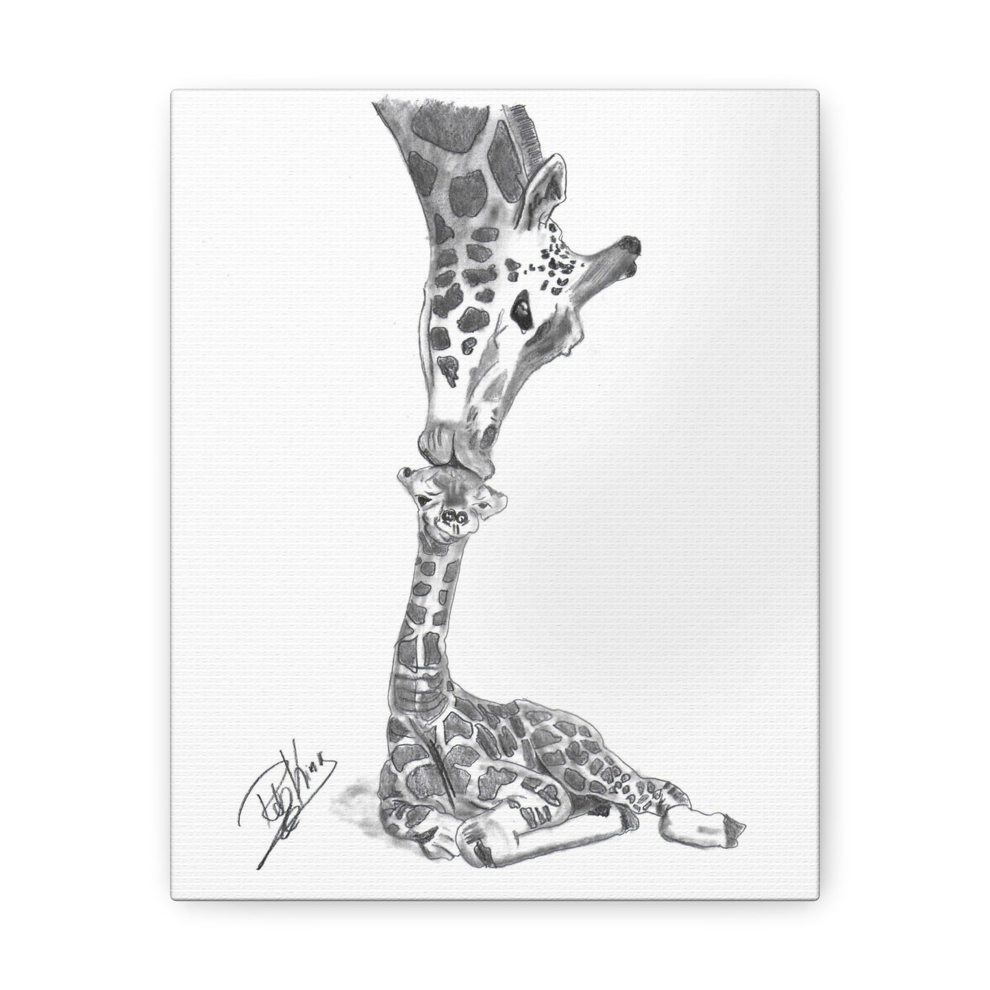 Giraffe Mother Child Kiss - Canvas Gallery Wraps