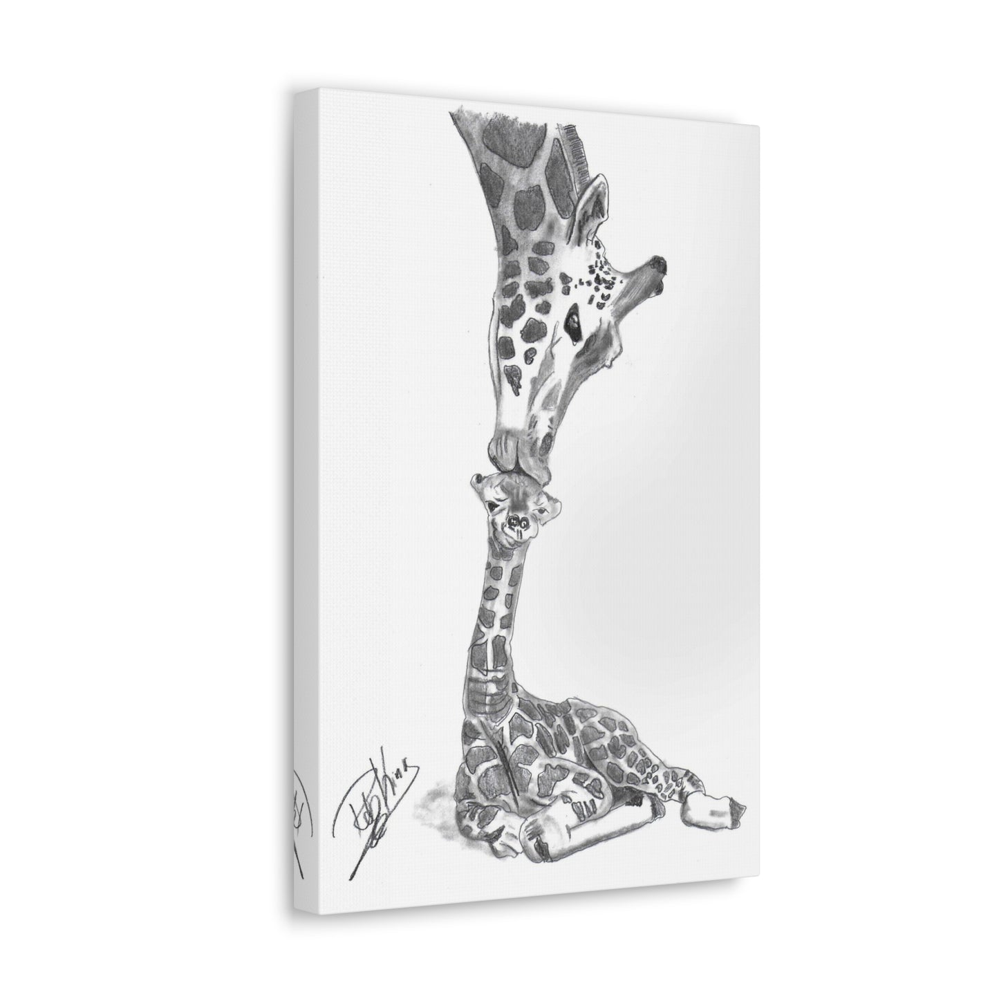 Giraffe Mother Child Kiss - Canvas Gallery Wraps