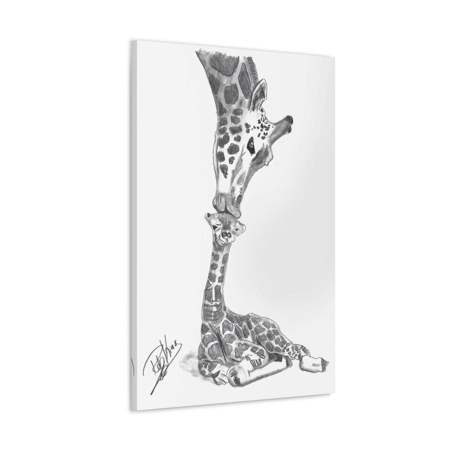 Giraffe Mother Child Kiss - Canvas Gallery Wraps