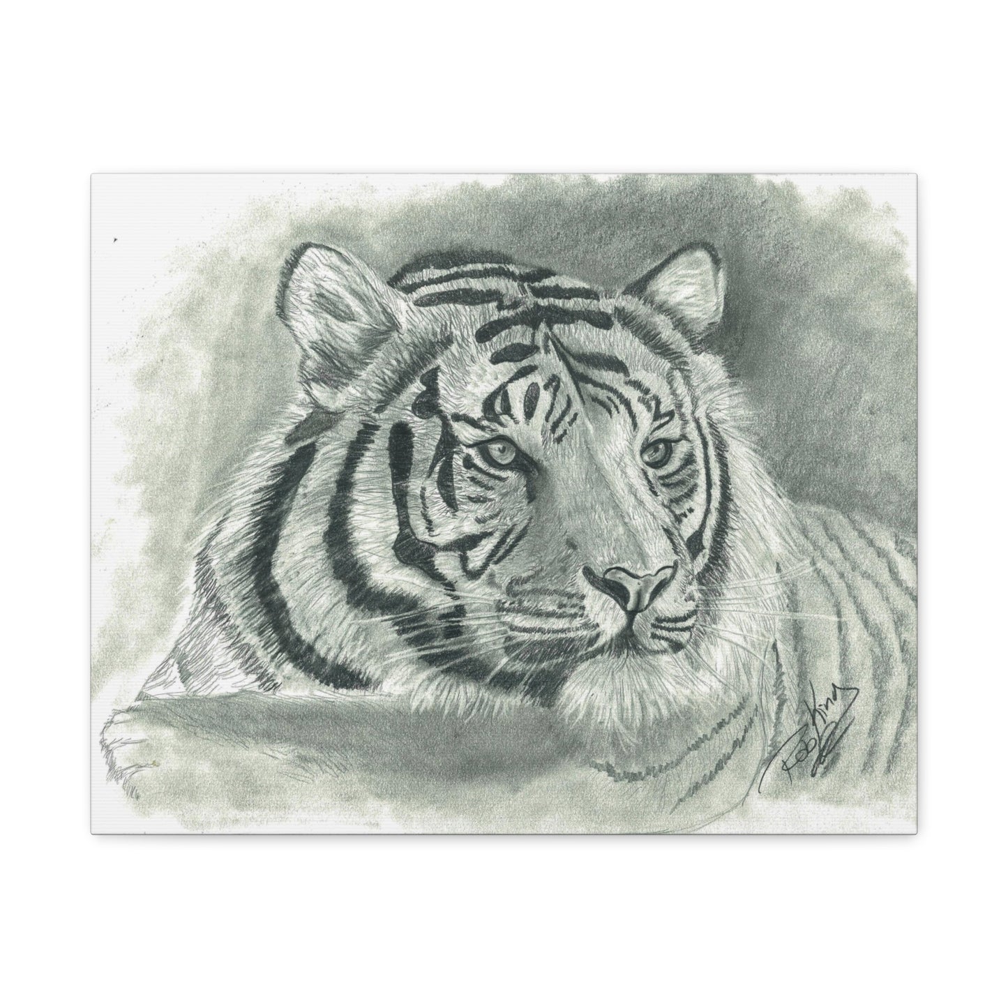 Tiger - Canvas Gallery Wrap