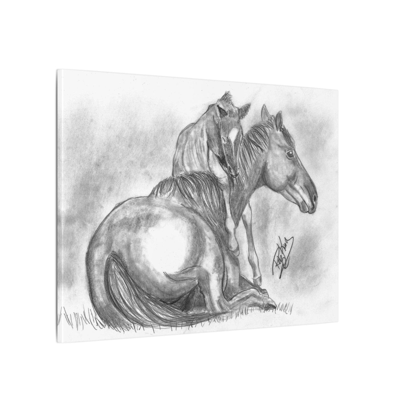 Horse and Foal - Canvas Gallery Wrap