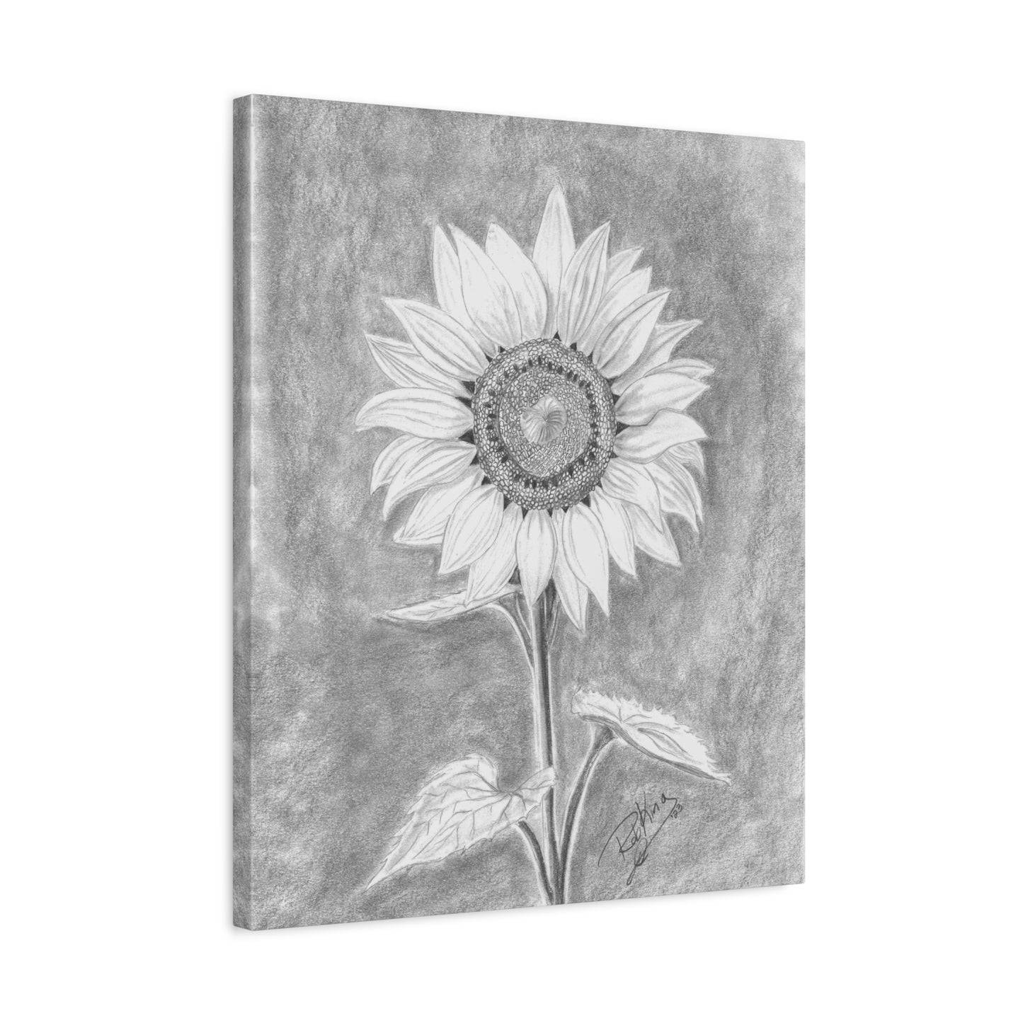 Sunflower - Canvas Gallery Wraps