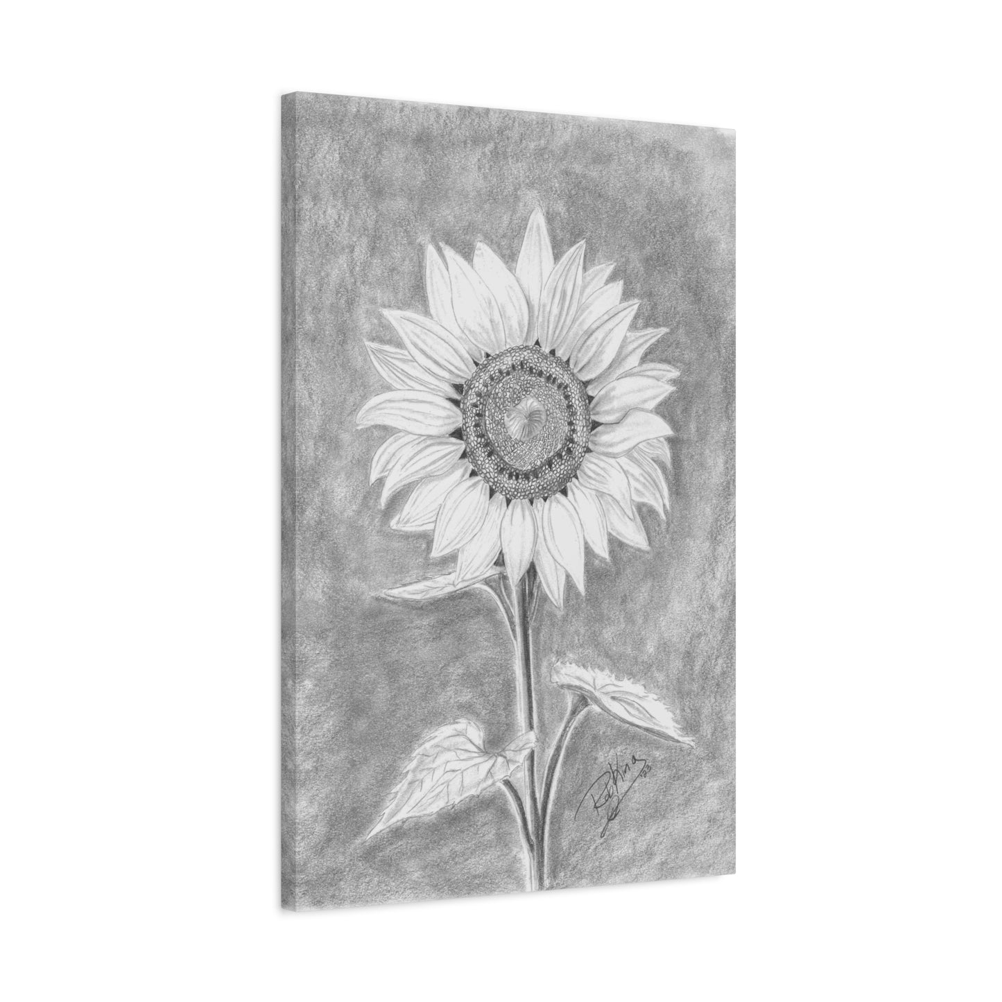 Sunflower - Canvas Gallery Wraps