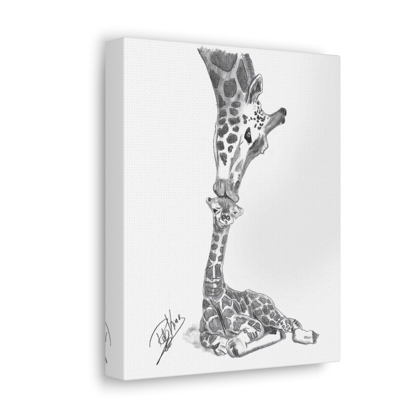 Giraffe Mother Child Kiss - Canvas Gallery Wraps