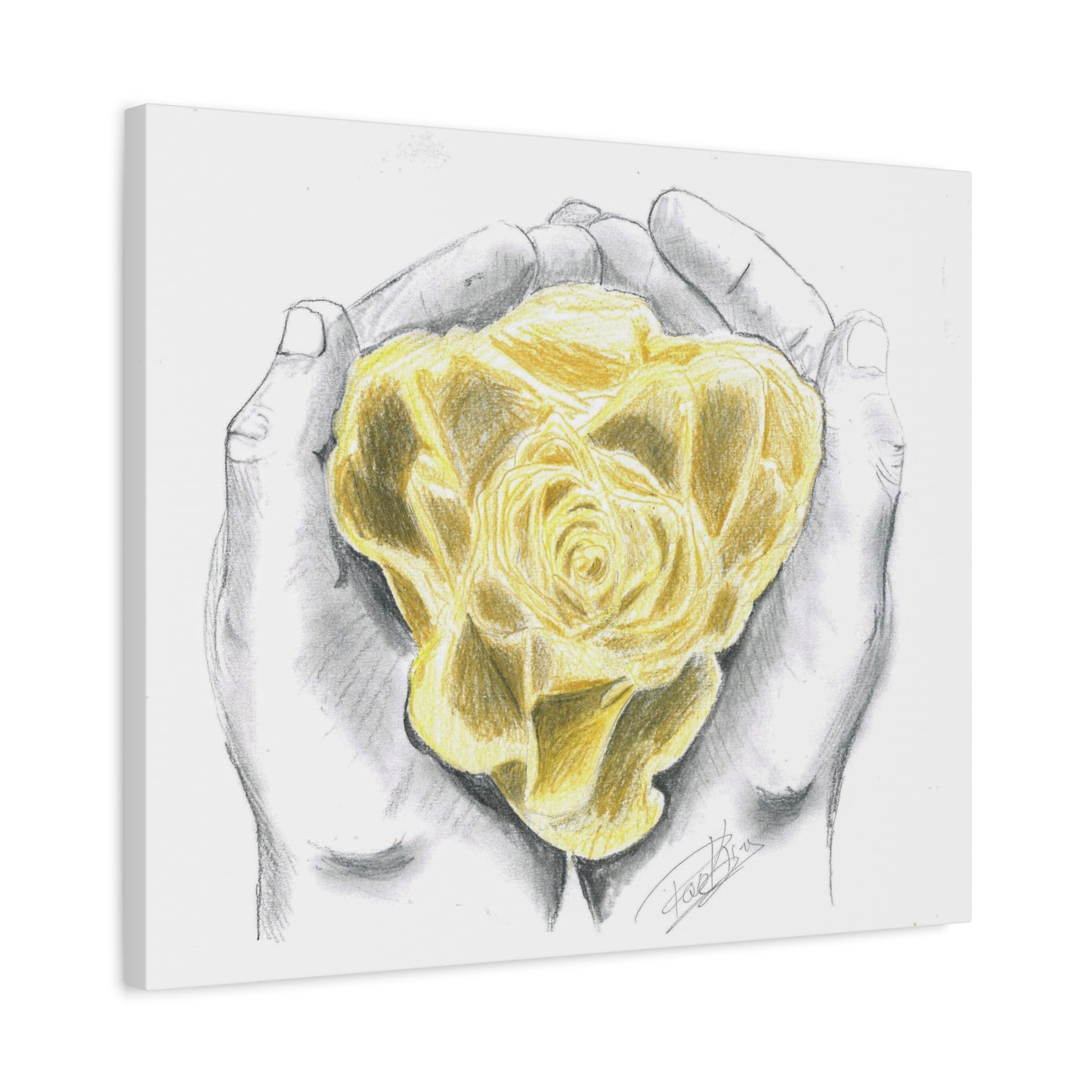 Yellow Rose - Canvas Gallery Wrap