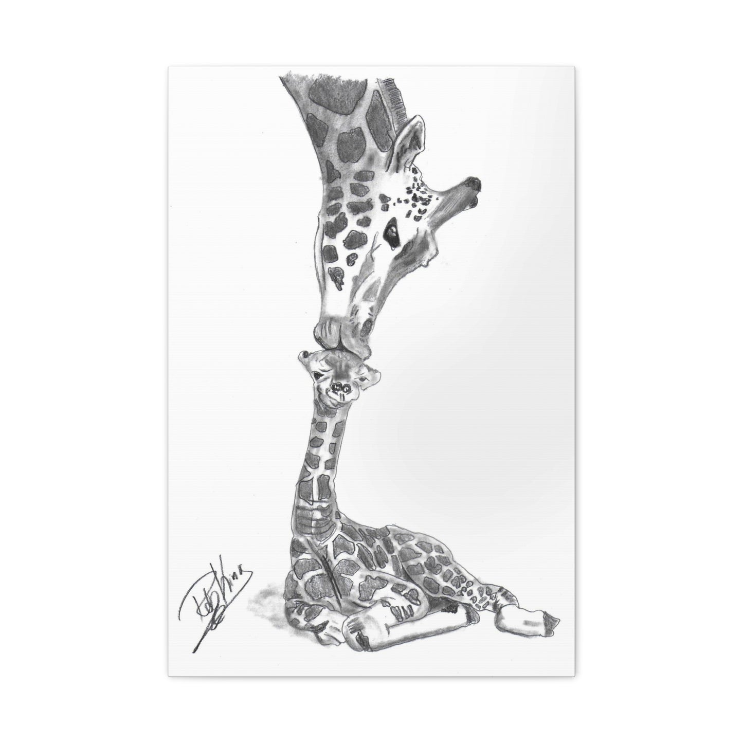 Giraffe Mother Child Kiss - Canvas Gallery Wraps