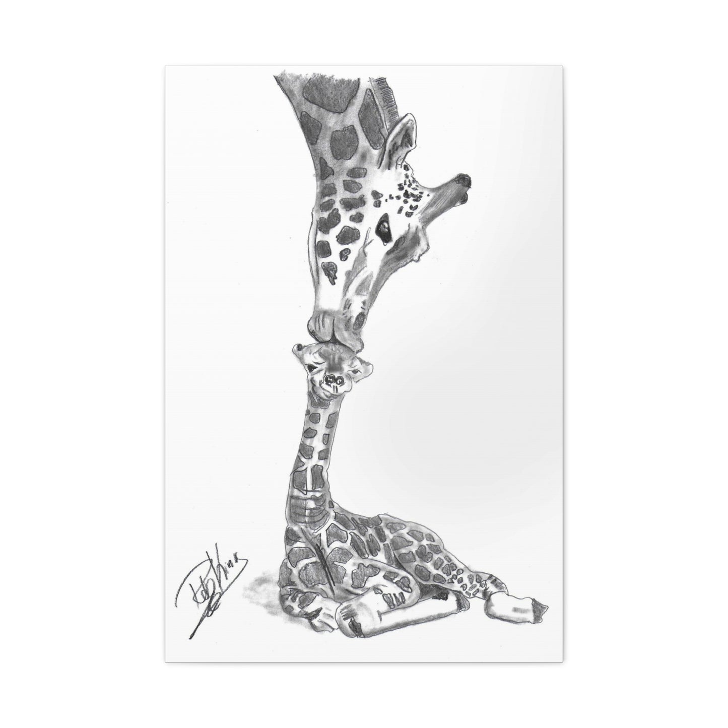 Giraffe Mother Child Kiss - Canvas Gallery Wraps