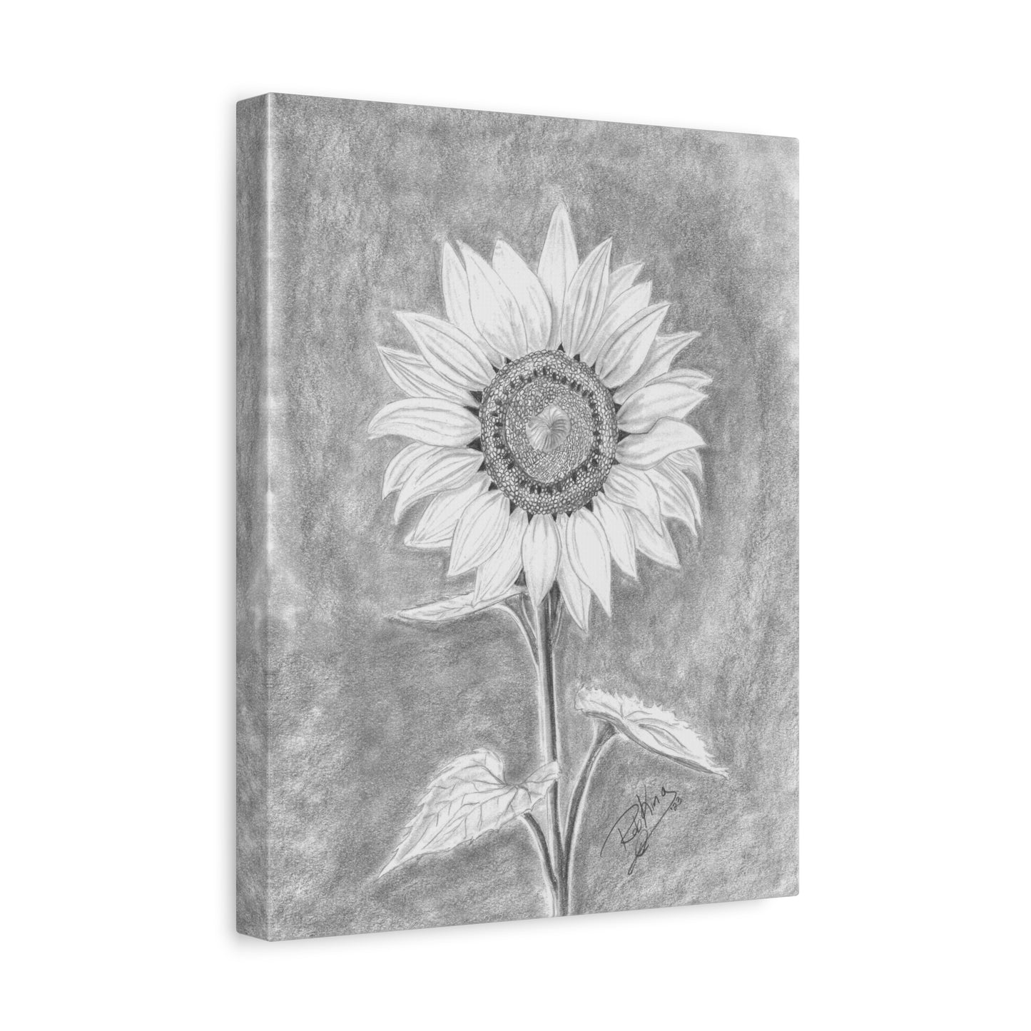 Sunflower - Canvas Gallery Wraps