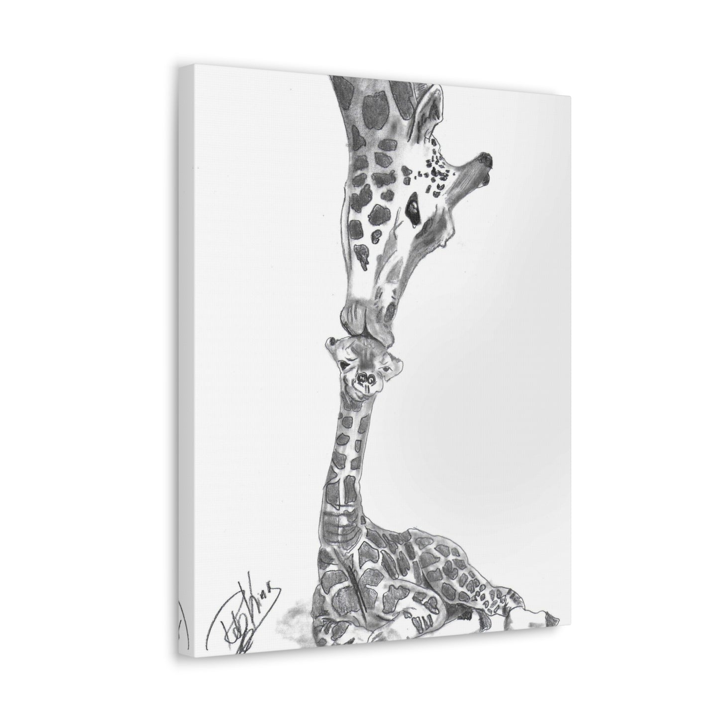 Giraffe Mother Child Kiss - Canvas Gallery Wraps