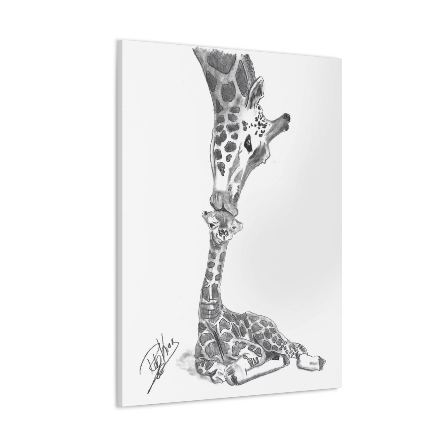 Giraffe Mother Child Kiss - Canvas Gallery Wraps