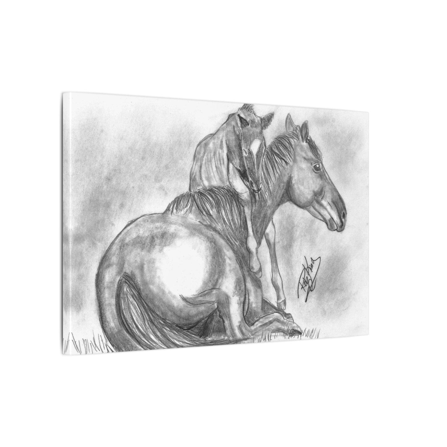 Horse and Foal - Canvas Gallery Wrap