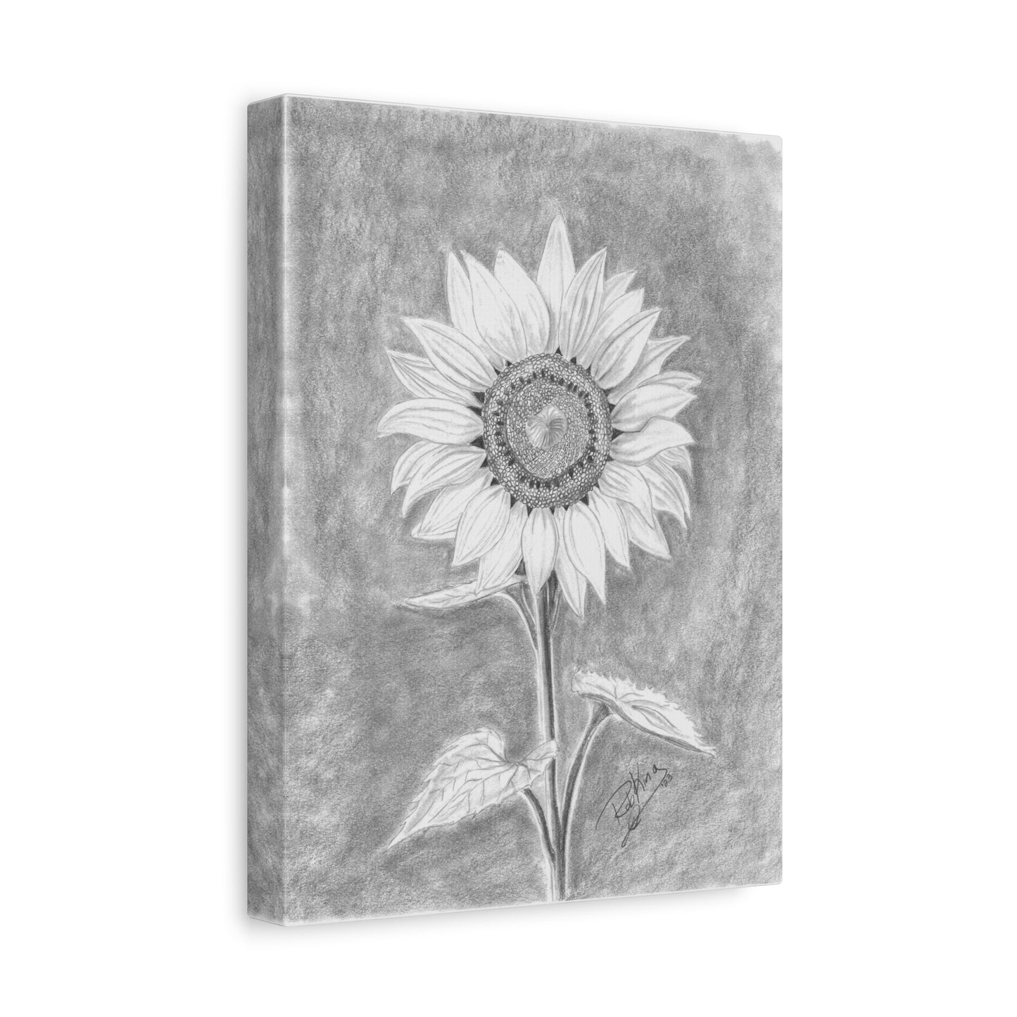 Sunflower - Canvas Gallery Wraps