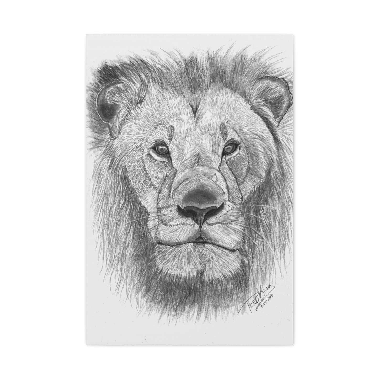 Lion - Canvas Gallery Wraps