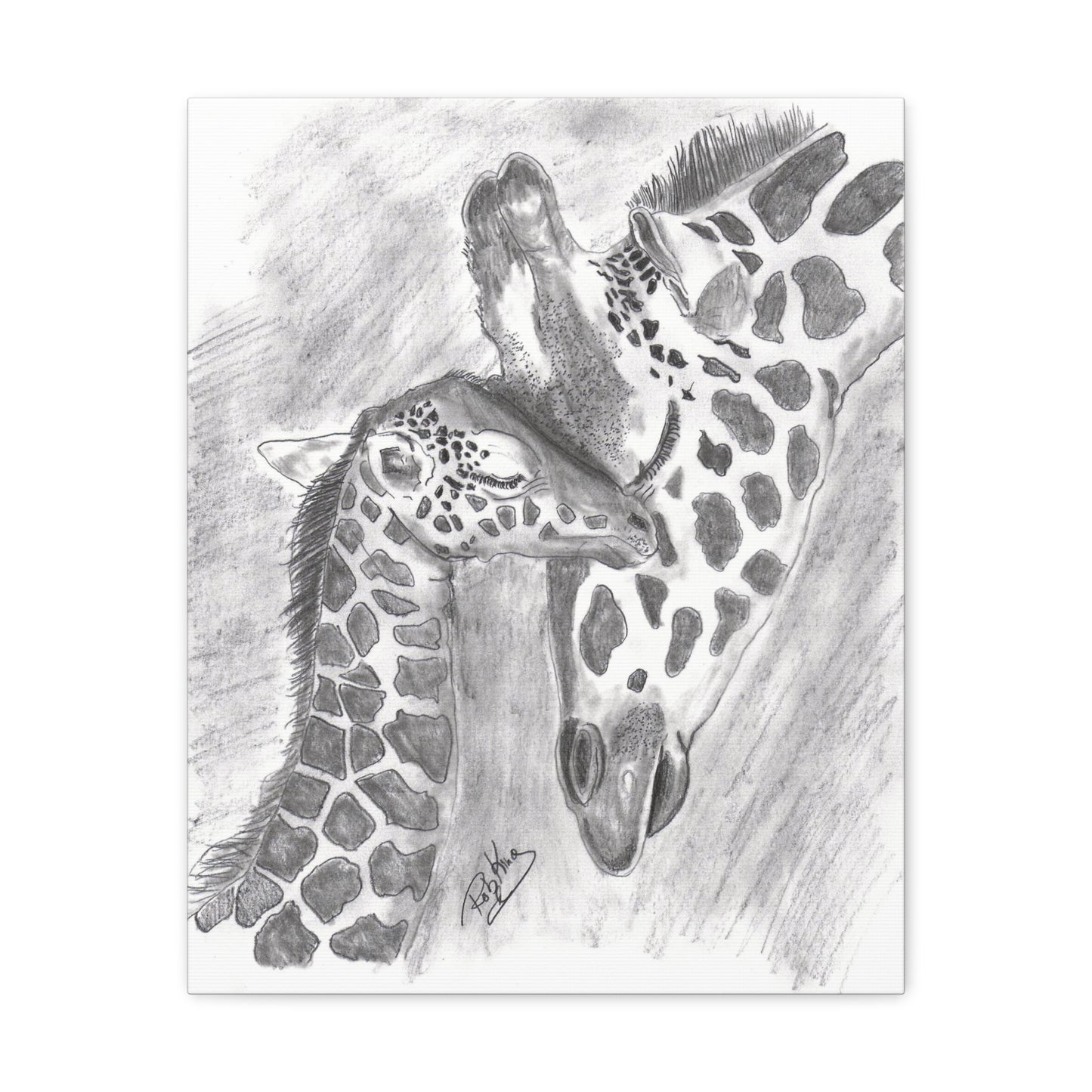 Giraffe Love  - Canvas Gallery Wraps