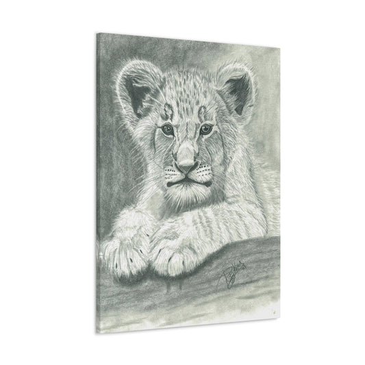 Lion Cub Canvas Gallery Wraps