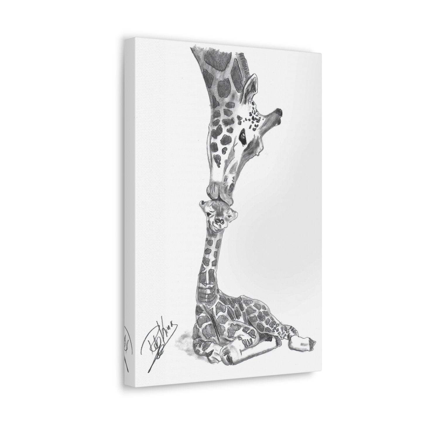 Giraffe Mother Child Kiss  - Canvas Gallery Wraps