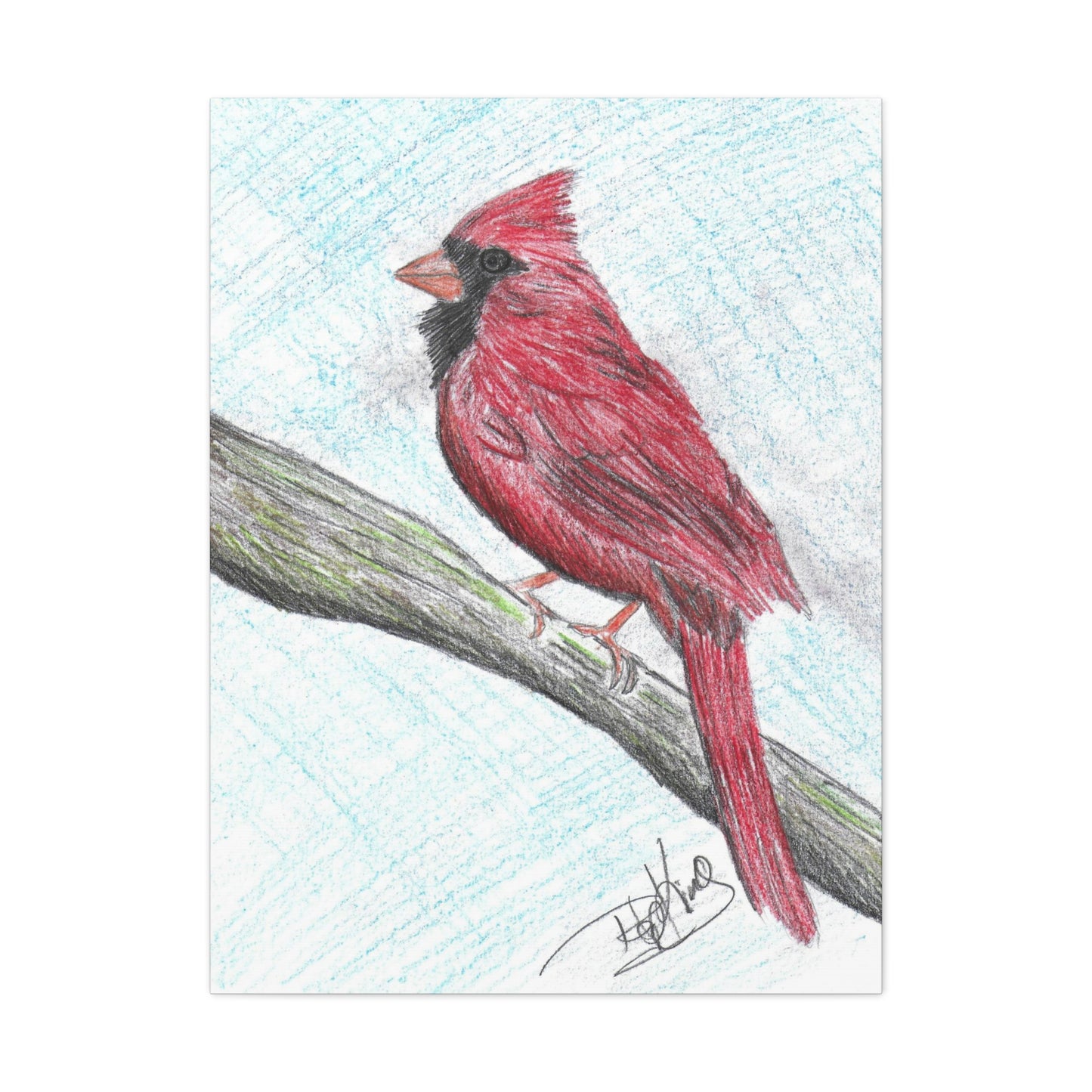 Cardinal in Color  - Canvas Gallery Wraps