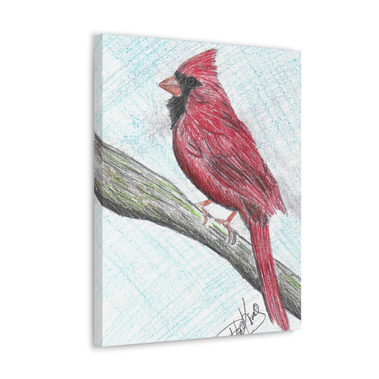 Cardinal in Color  - Canvas Gallery Wraps