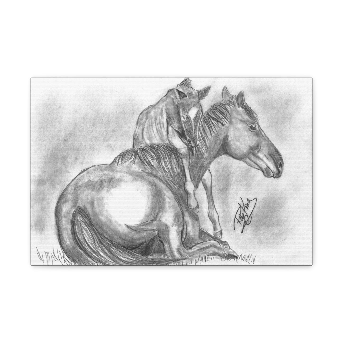 Horse and Foal - Canvas Gallery Wrap