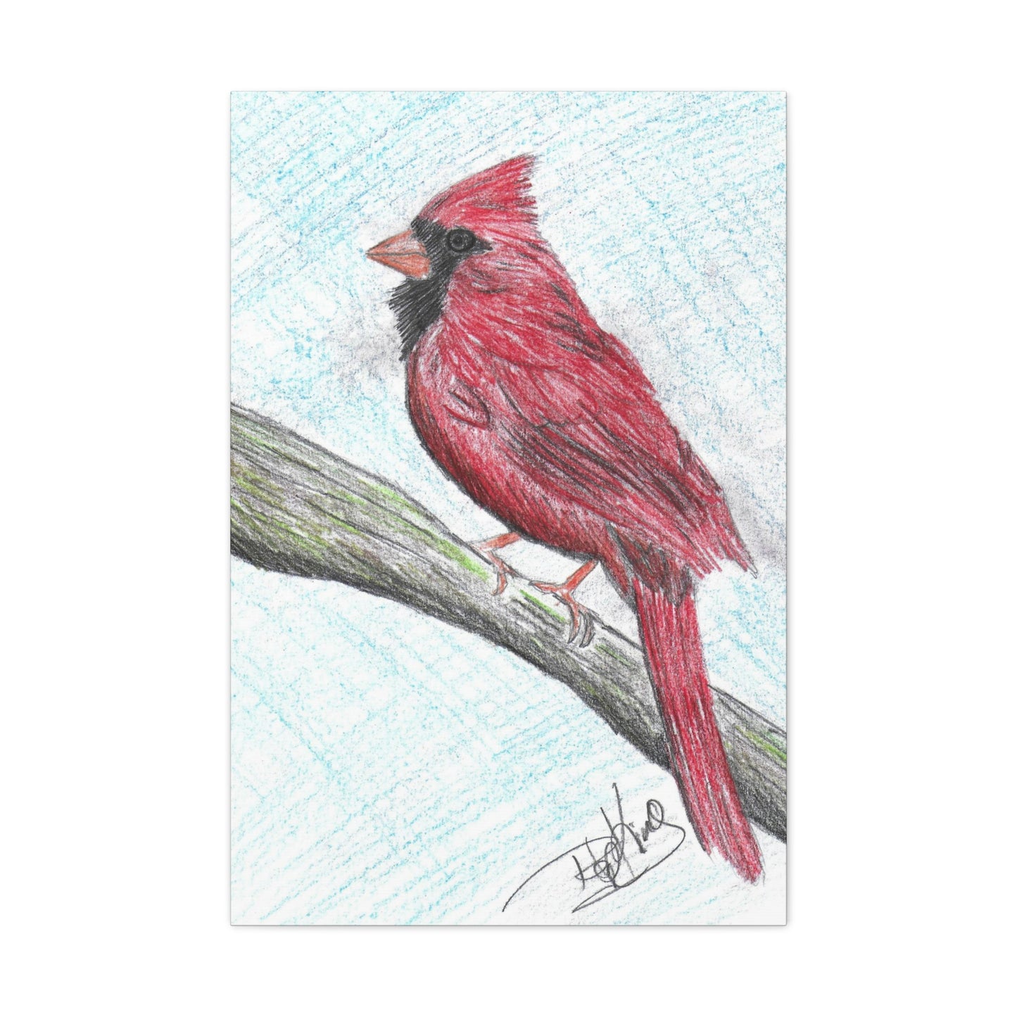 Cardinal in Color  - Canvas Gallery Wraps