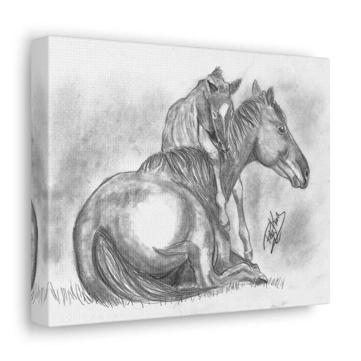 Horse and Foal - Canvas Gallery Wrap