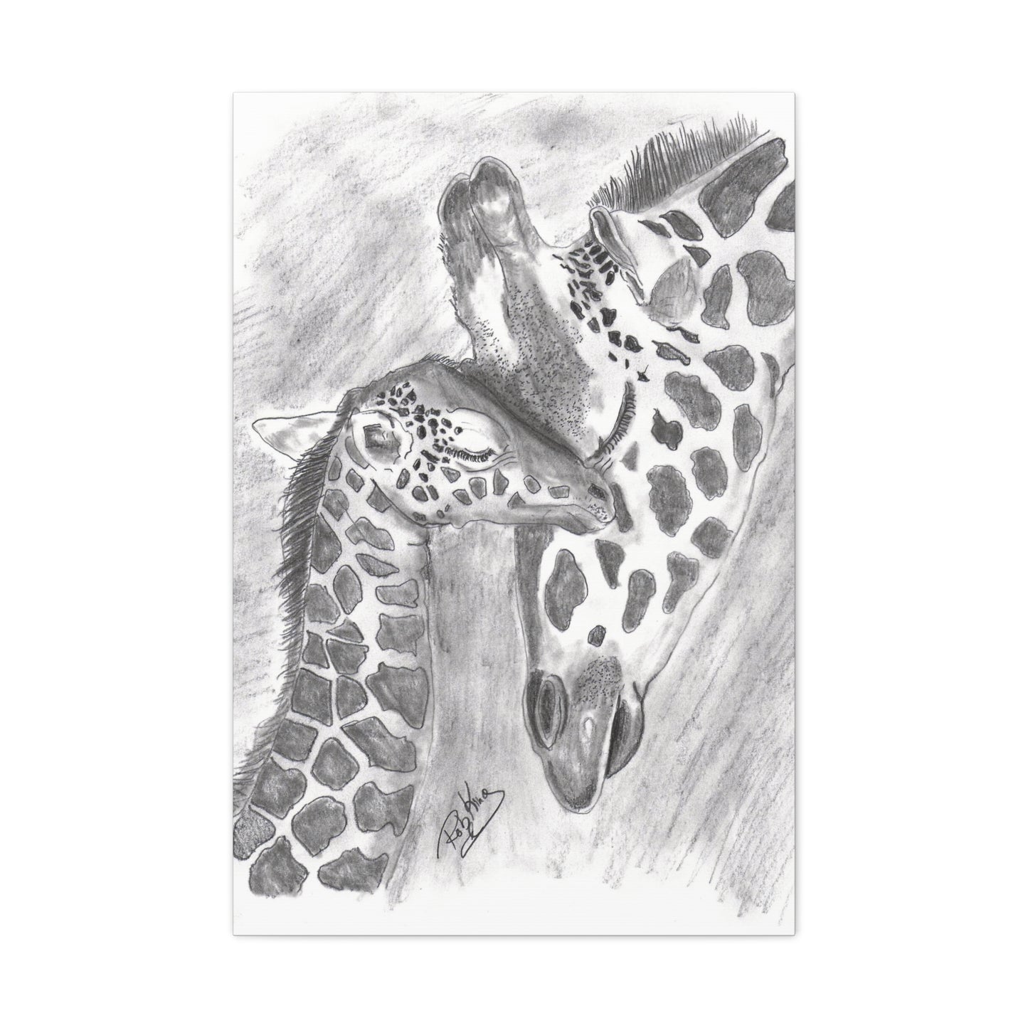 Giraffe Love  - Canvas Gallery Wraps