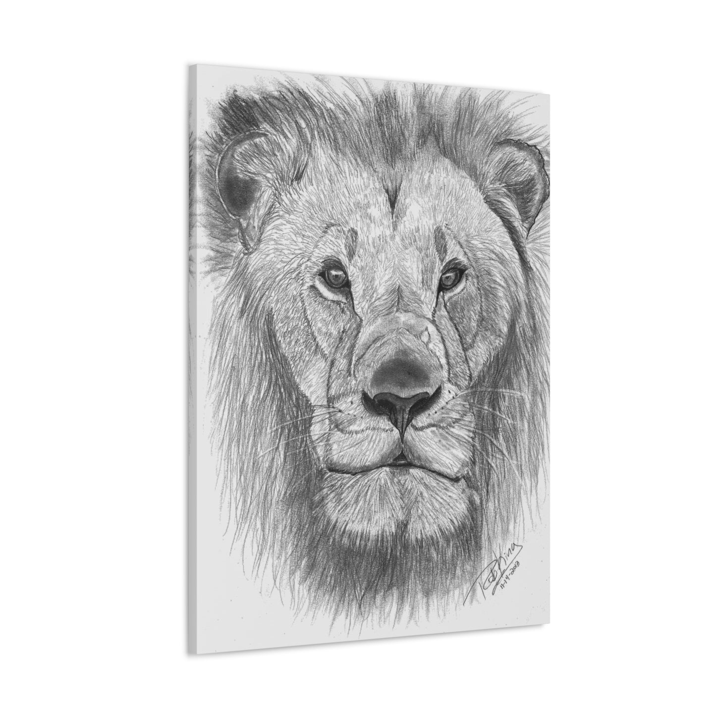 Lion - Canvas Gallery Wraps