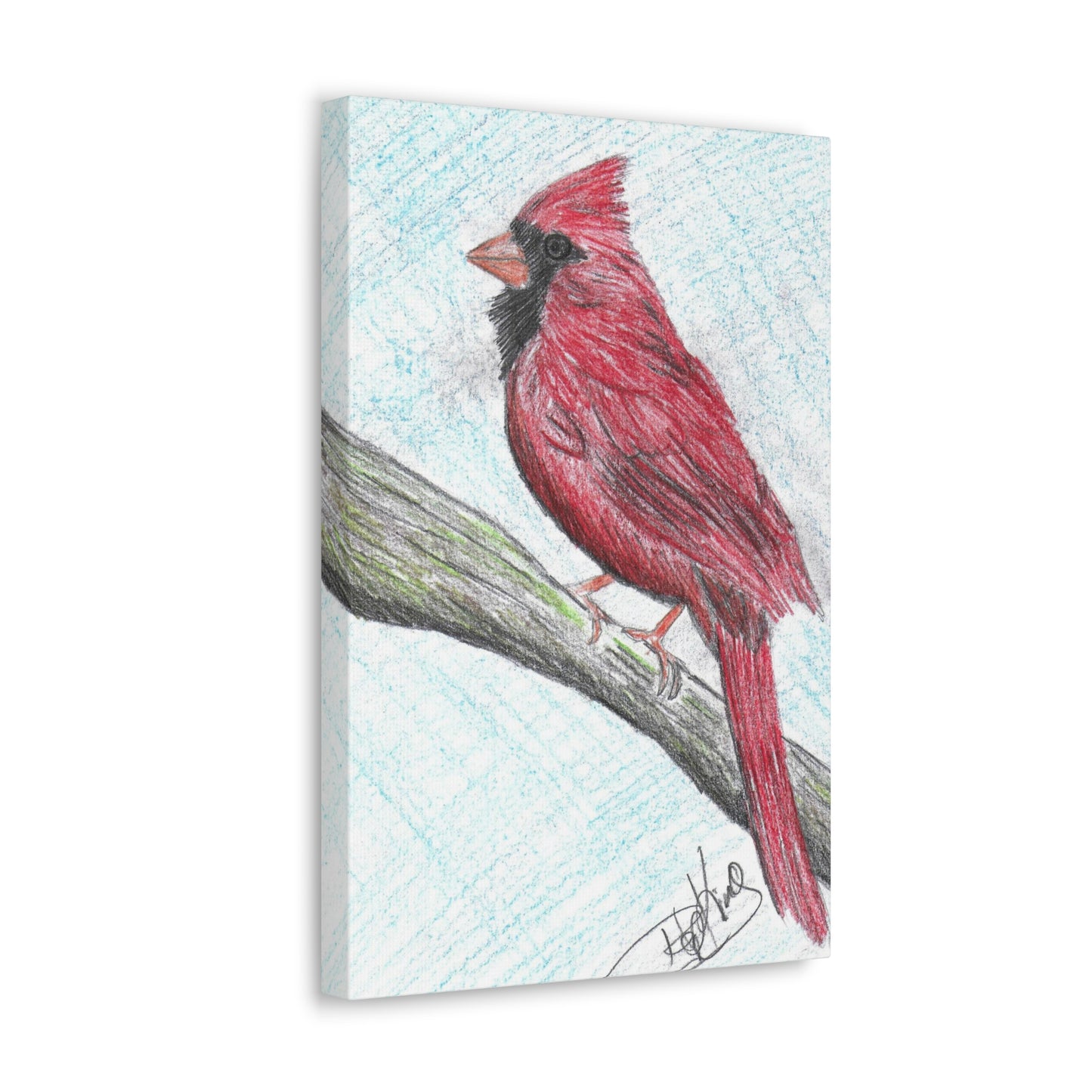 Cardinal in Color  - Canvas Gallery Wraps