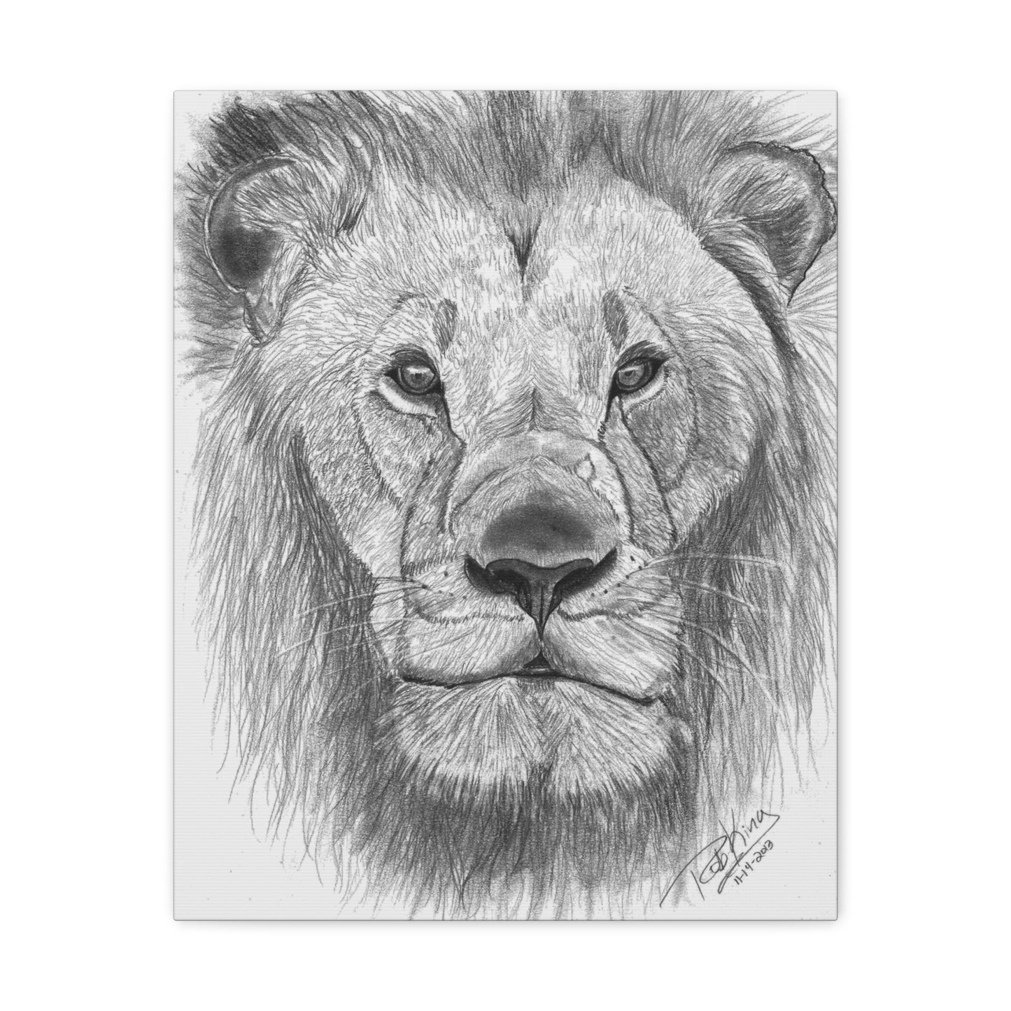 Lion - Canvas Gallery Wraps