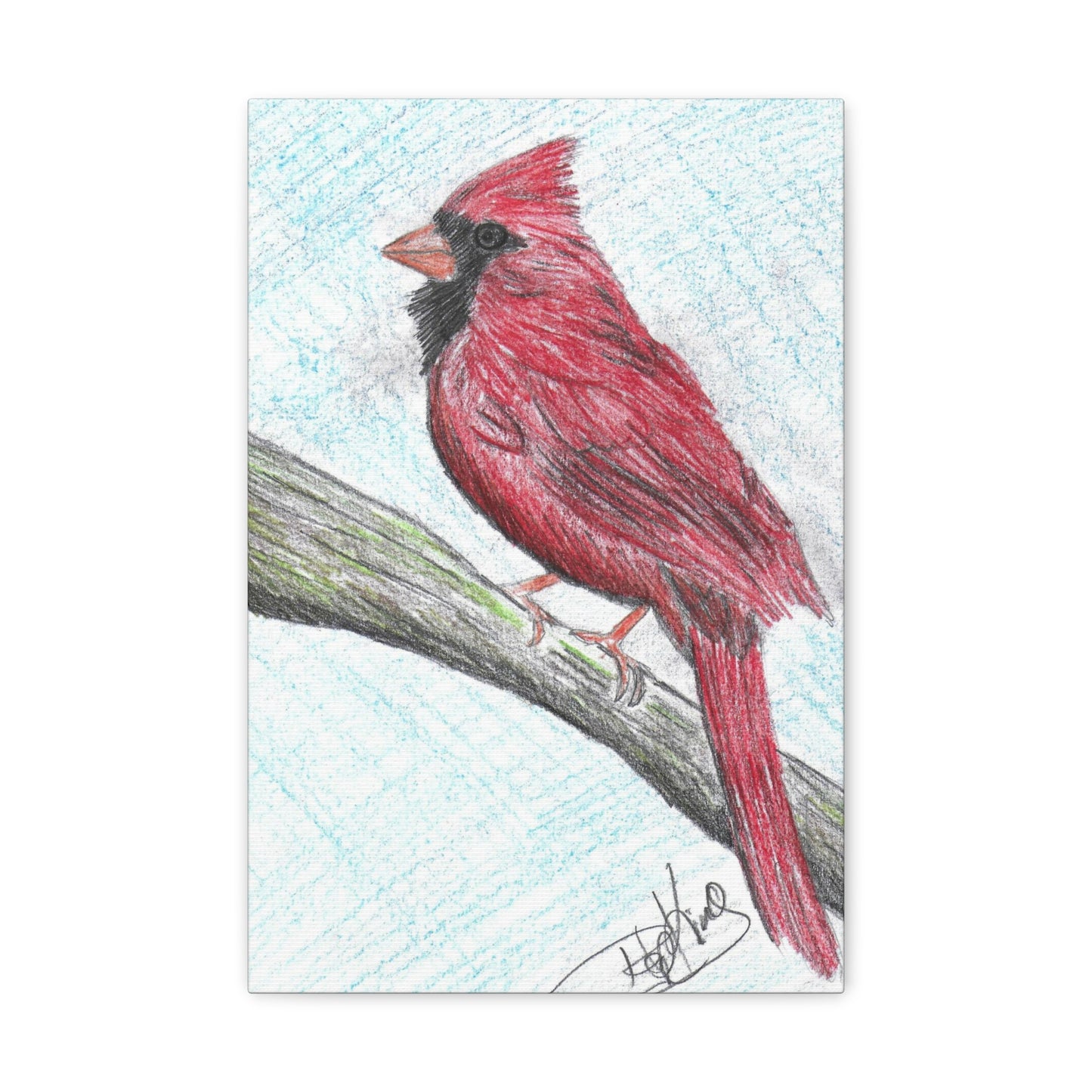 Cardinal in Color  - Canvas Gallery Wraps