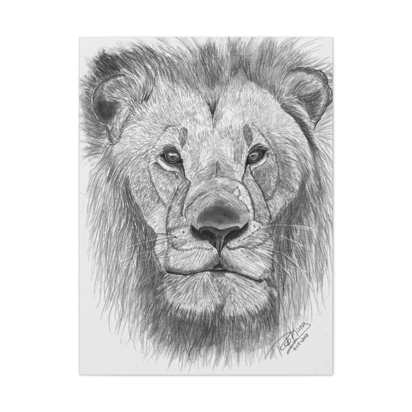 Lion - Canvas Gallery Wraps