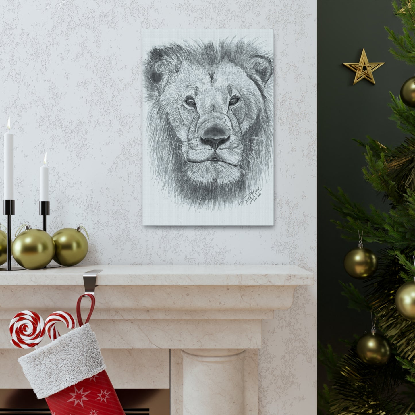 Lion - Canvas Gallery Wraps