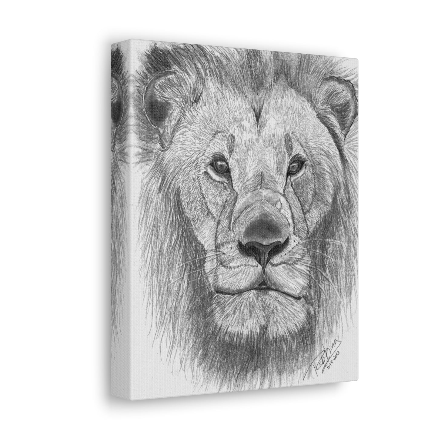 Lion - Canvas Gallery Wraps