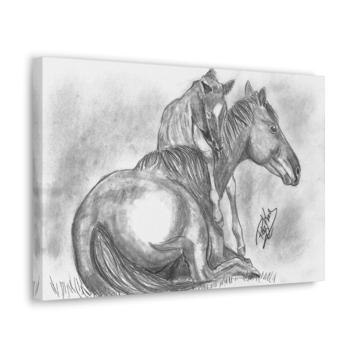 Horse and Foal - Canvas Gallery Wrap