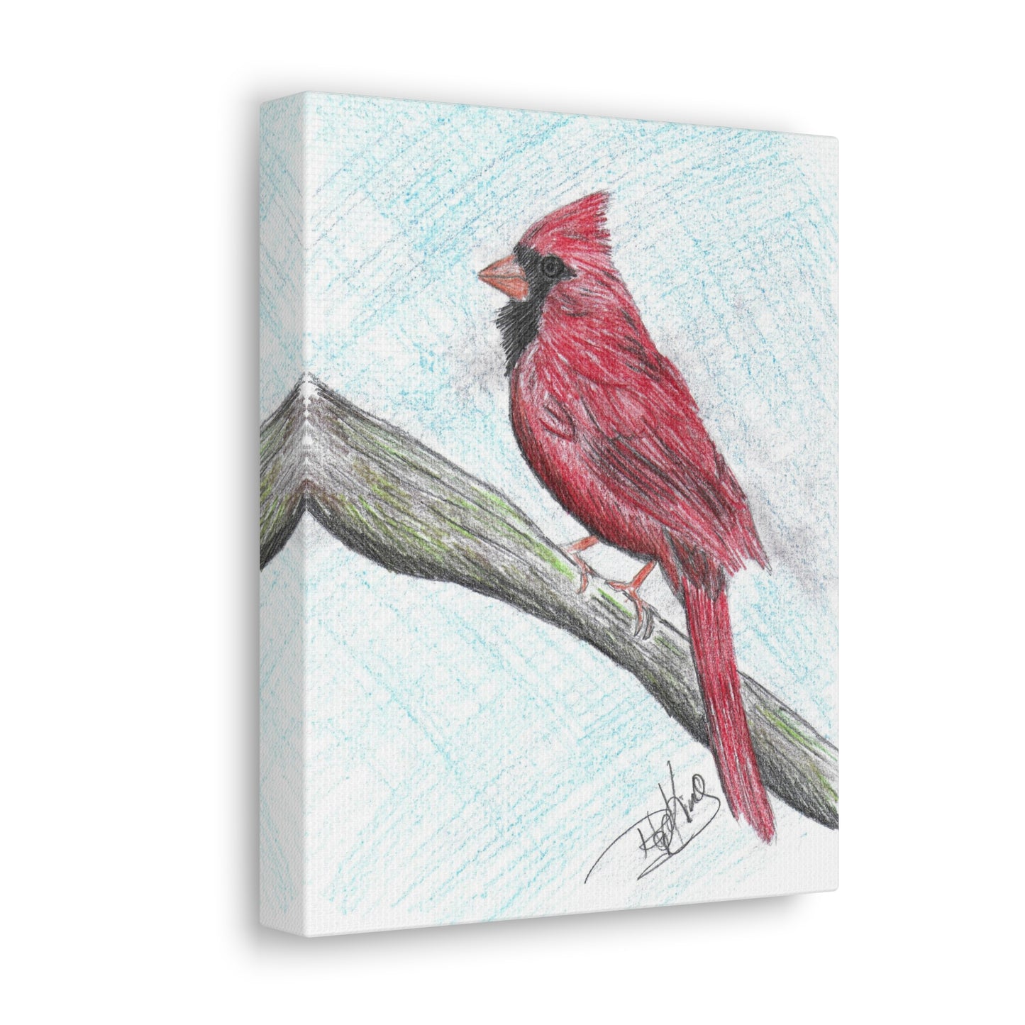 Cardinal in Color  - Canvas Gallery Wraps