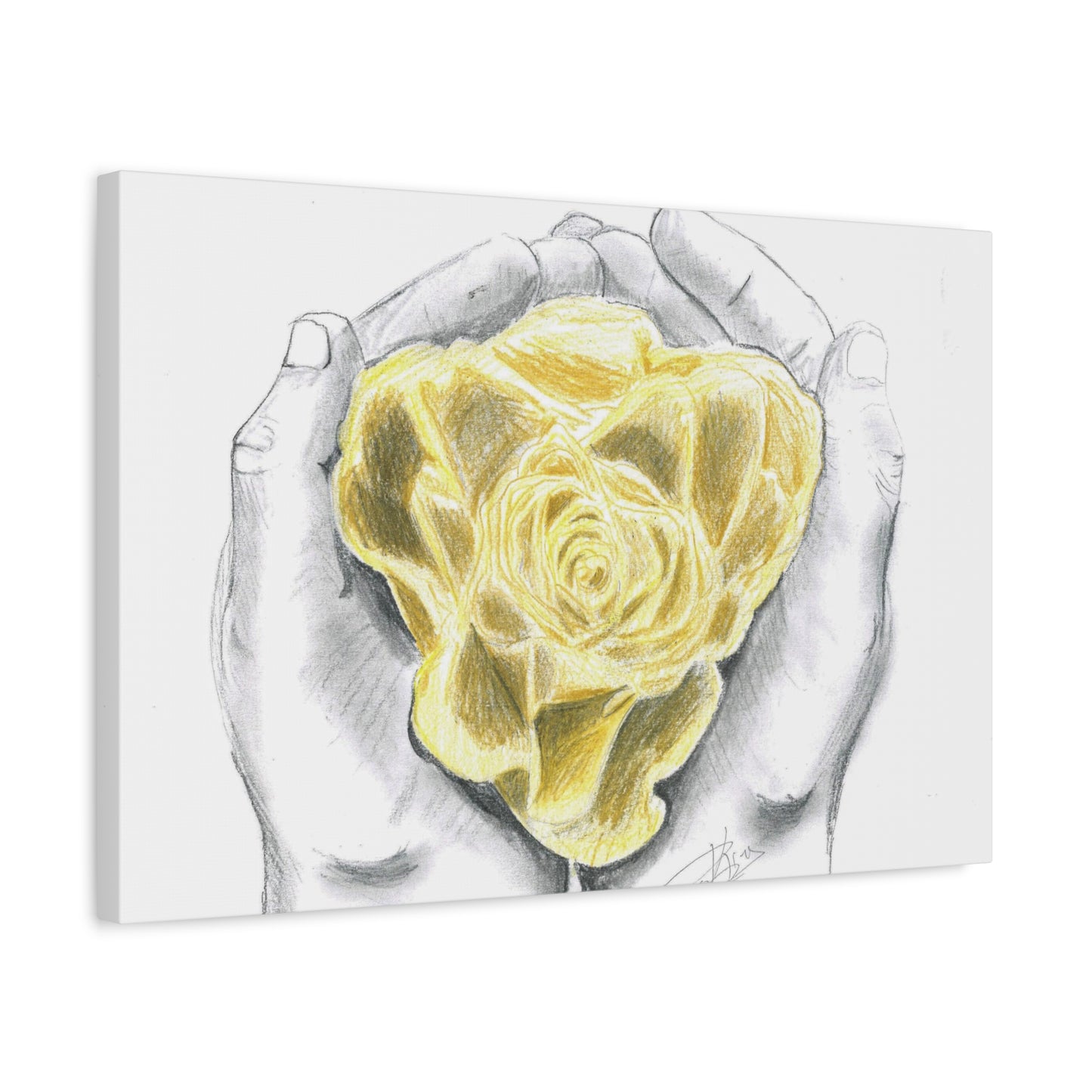 Yellow Rose - Canvas Gallery Wrap