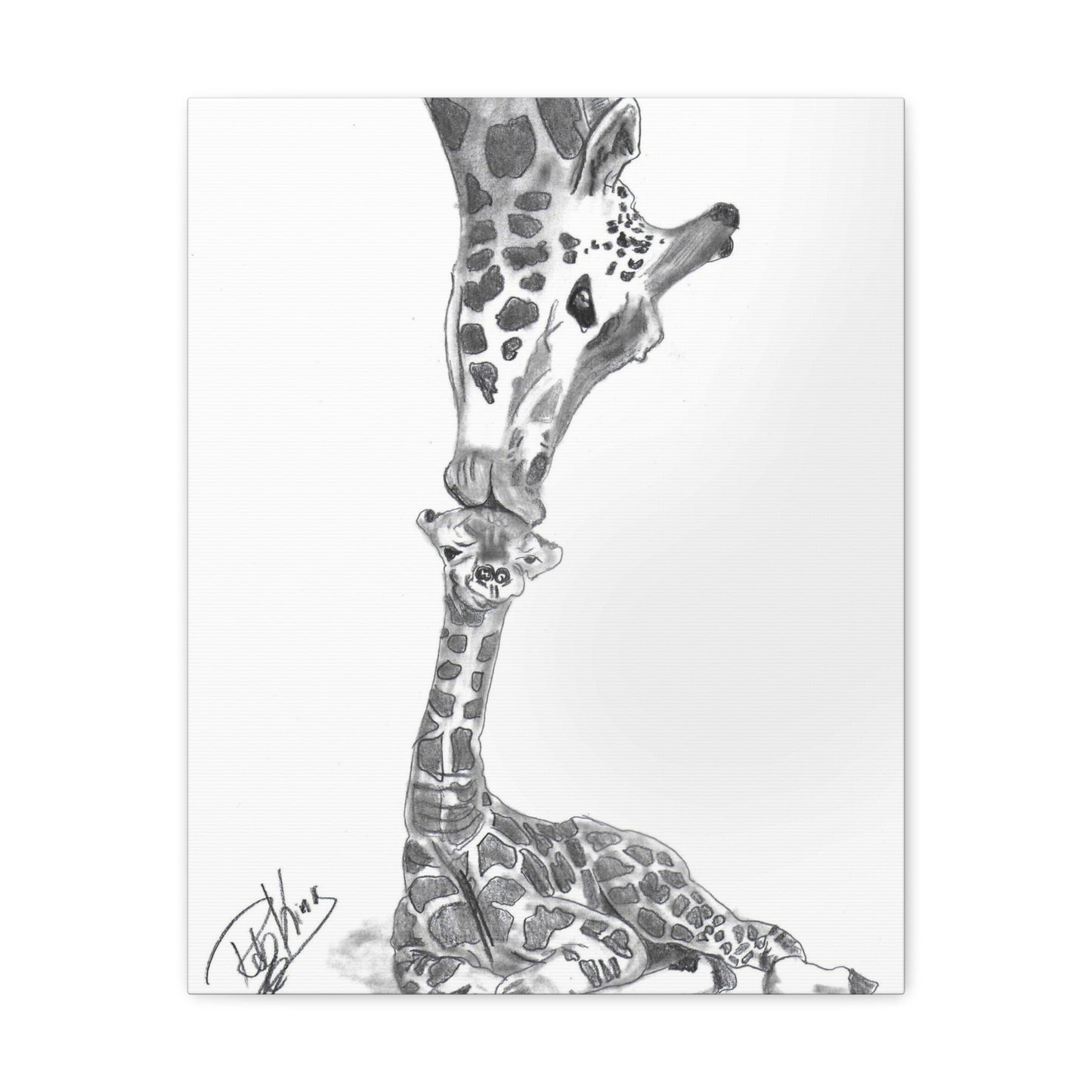 Giraffe Mother Child Kiss  - Canvas Gallery Wraps