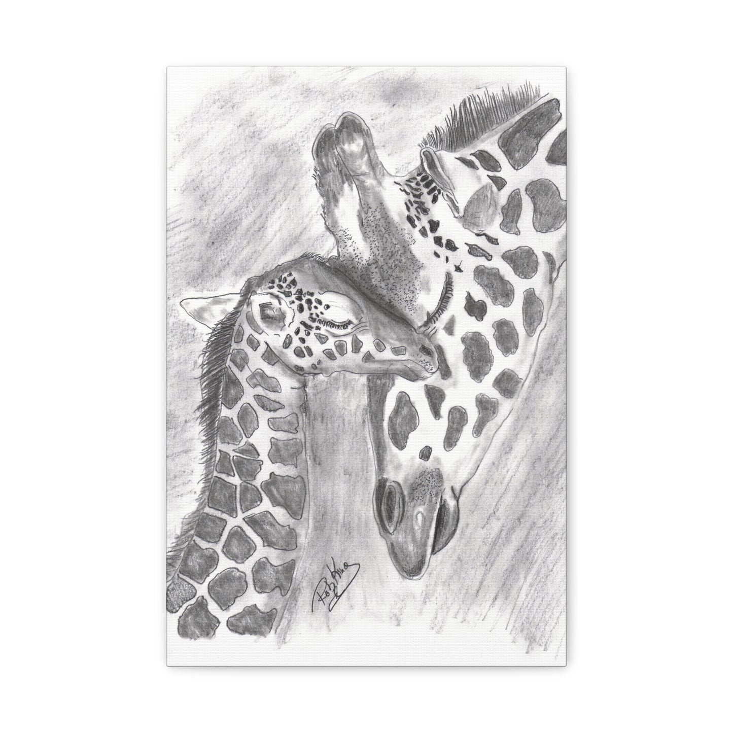 Giraffe Love  - Canvas Gallery Wraps