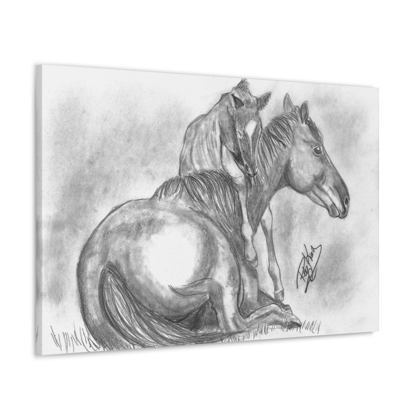 Horse and Foal - Canvas Gallery Wrap