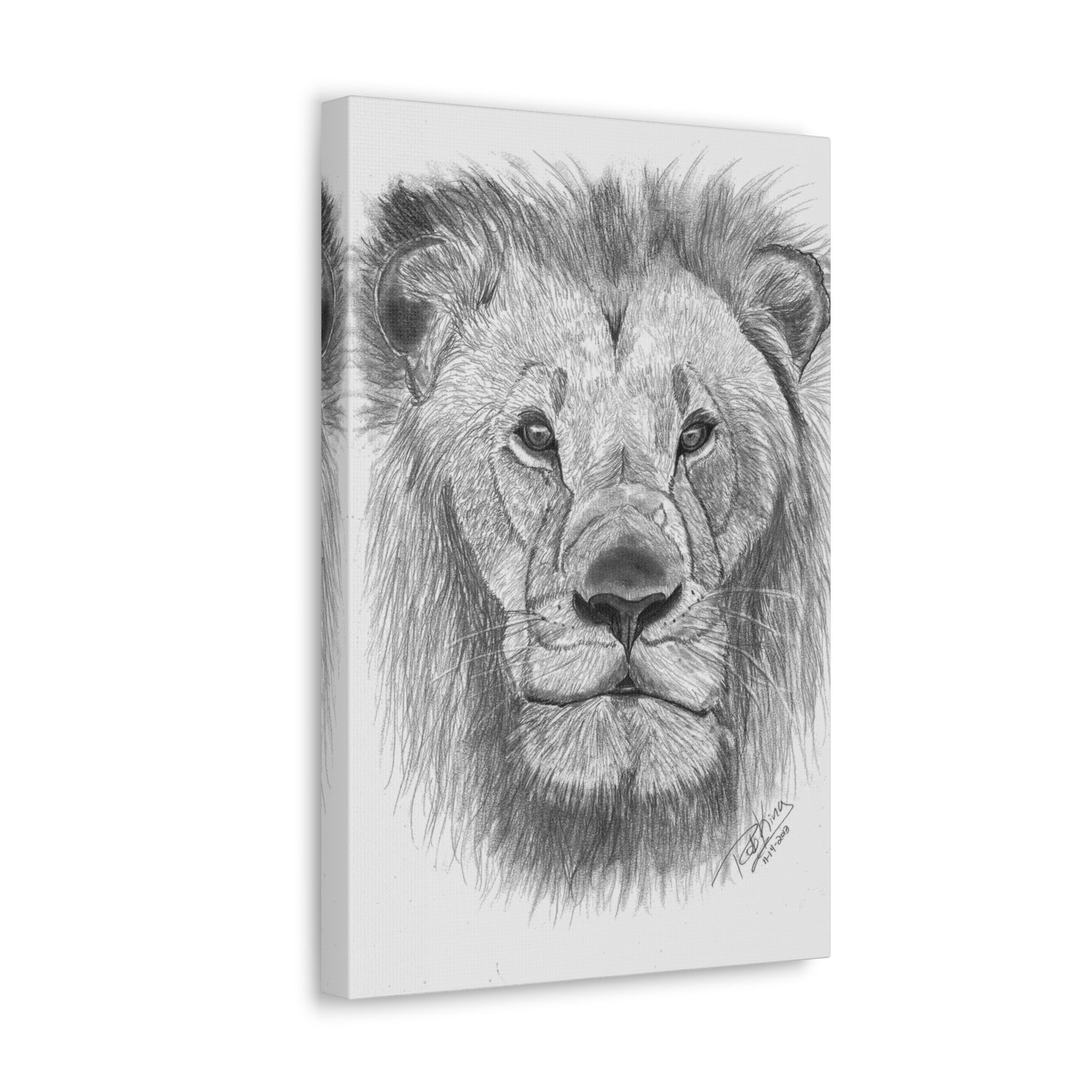 Lion - Canvas Gallery Wraps