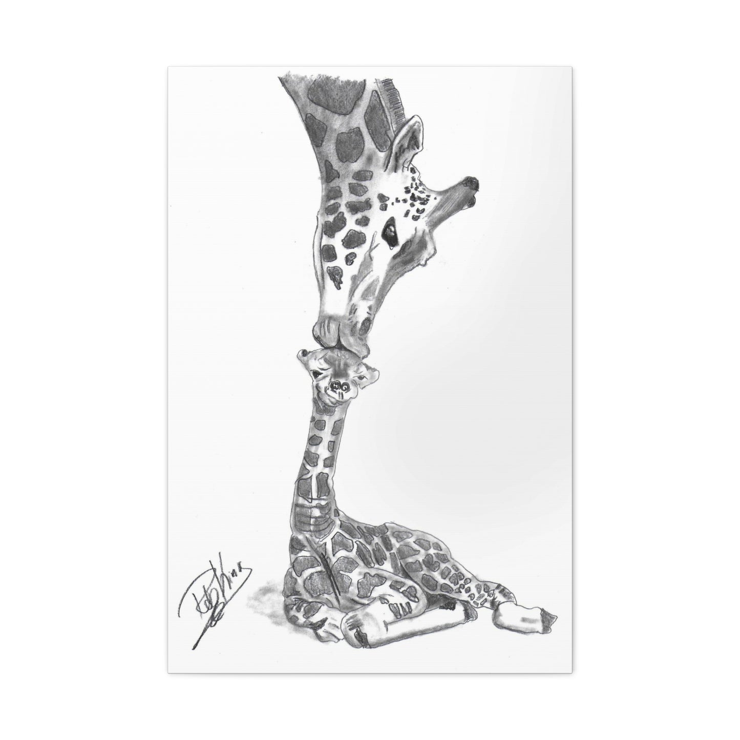 Giraffe Mother Child Kiss  - Canvas Gallery Wraps