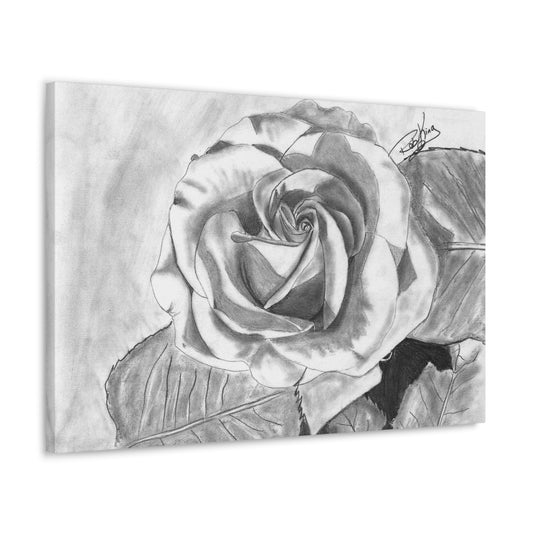 Rose in Bloom - Canvas Gallery Wrap