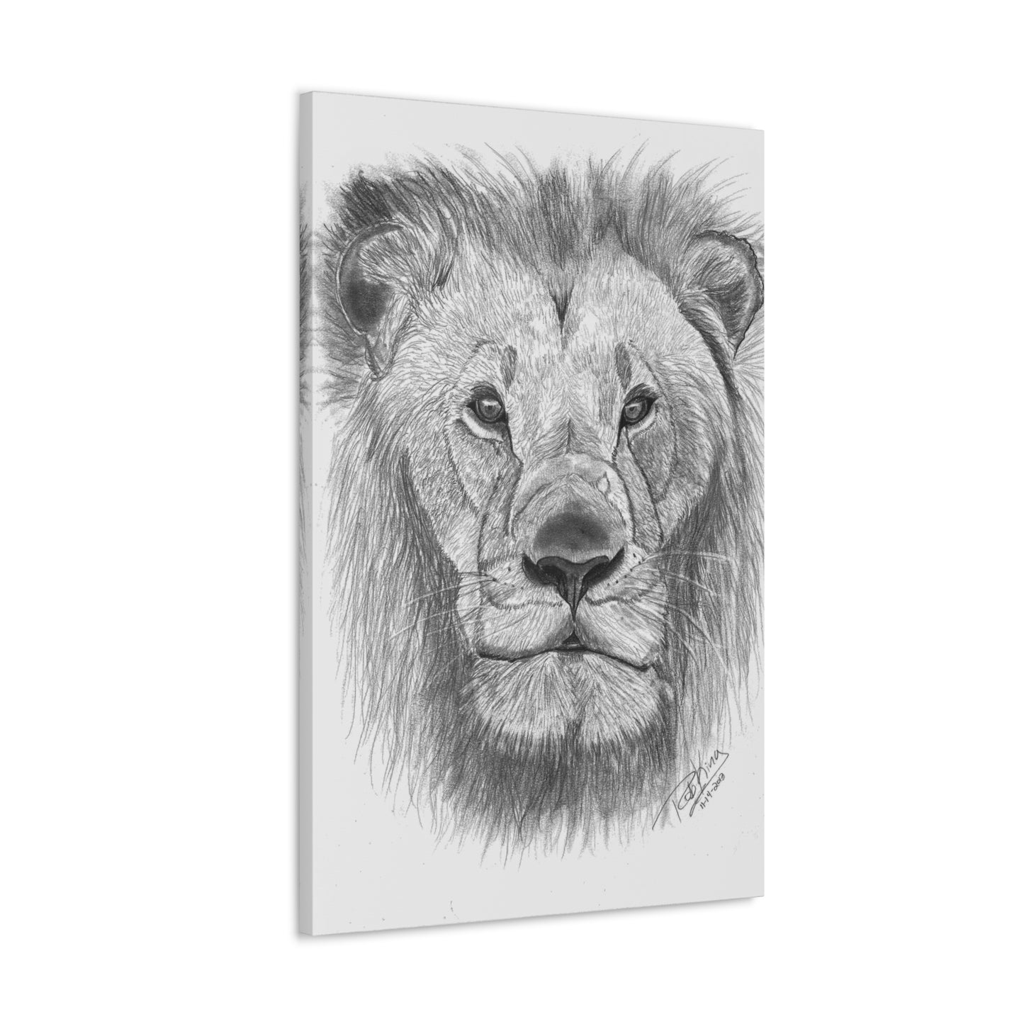 Lion - Canvas Gallery Wraps