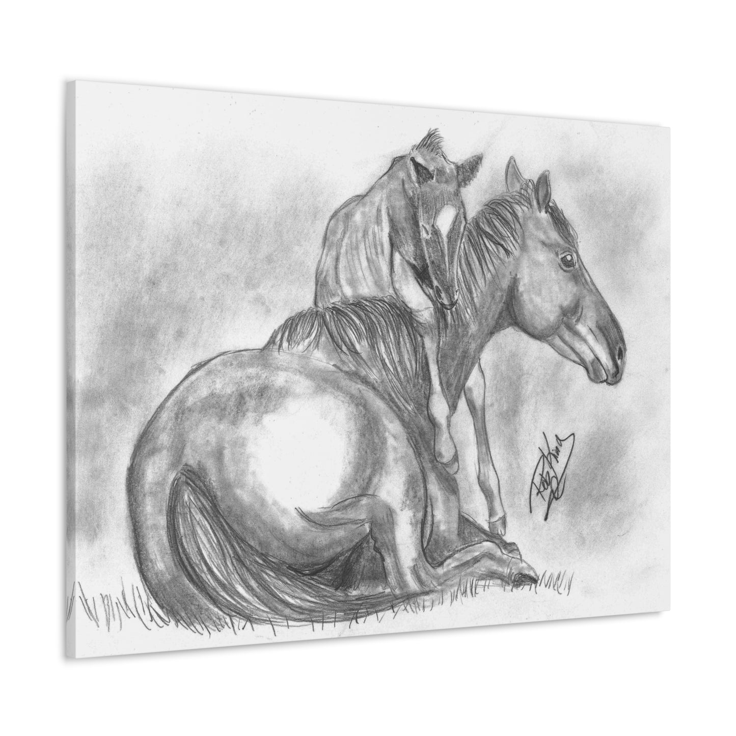 Horse and Foal - Canvas Gallery Wrap