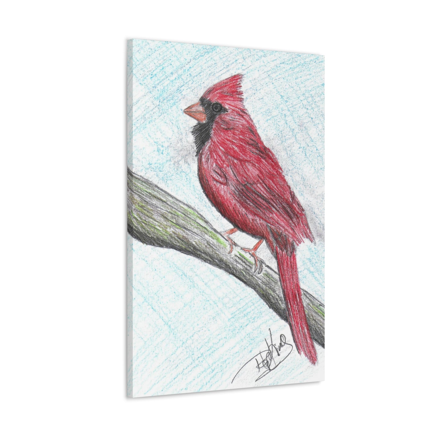 Cardinal in Color  - Canvas Gallery Wraps