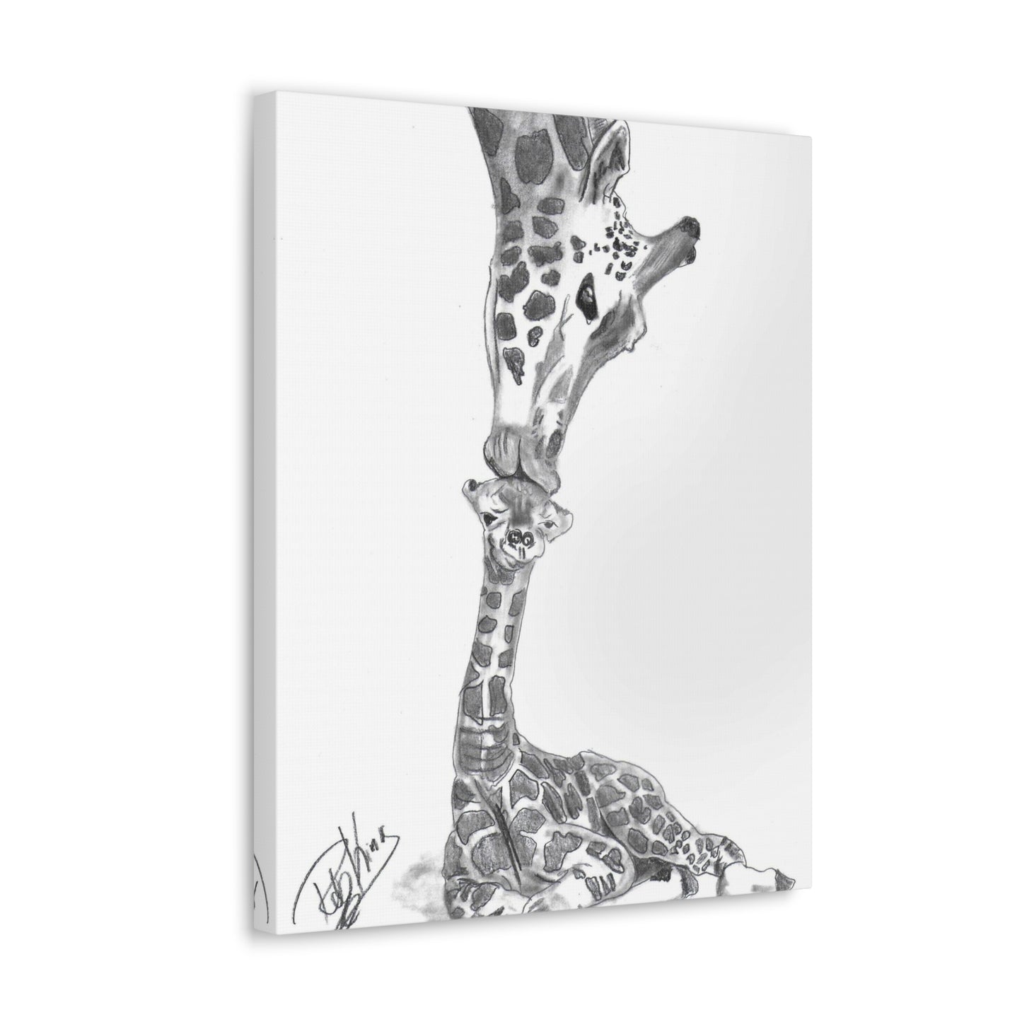 Giraffe Mother Child Kiss  - Canvas Gallery Wraps