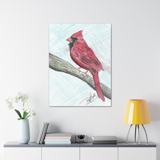 Cardinal in Color  - Canvas Gallery Wraps