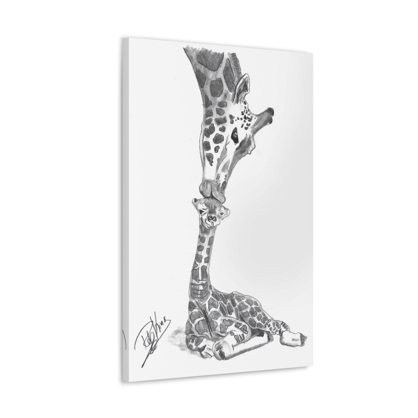 Giraffe Mother Child Kiss  - Canvas Gallery Wraps