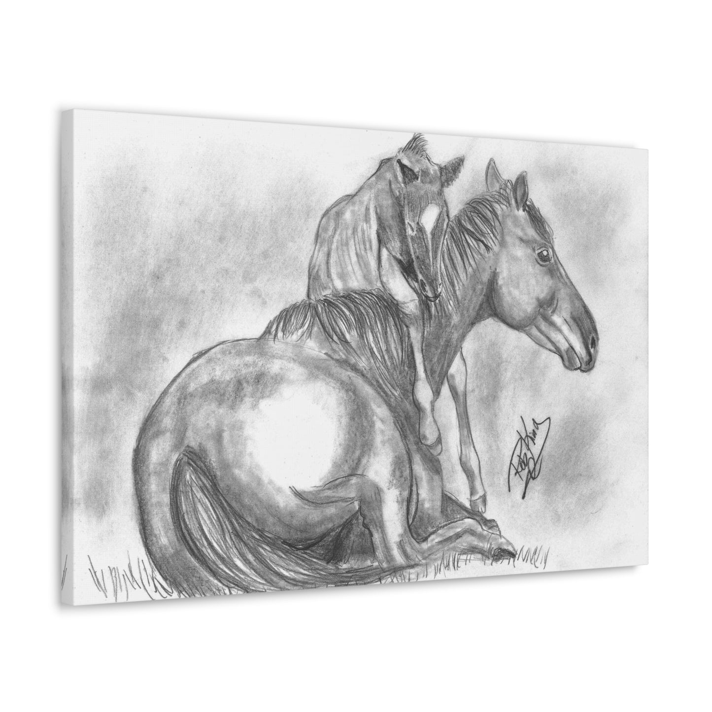 Horse and Foal - Canvas Gallery Wrap